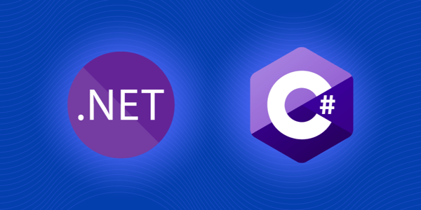 .NET e C#: lo sviluppo web moderno
